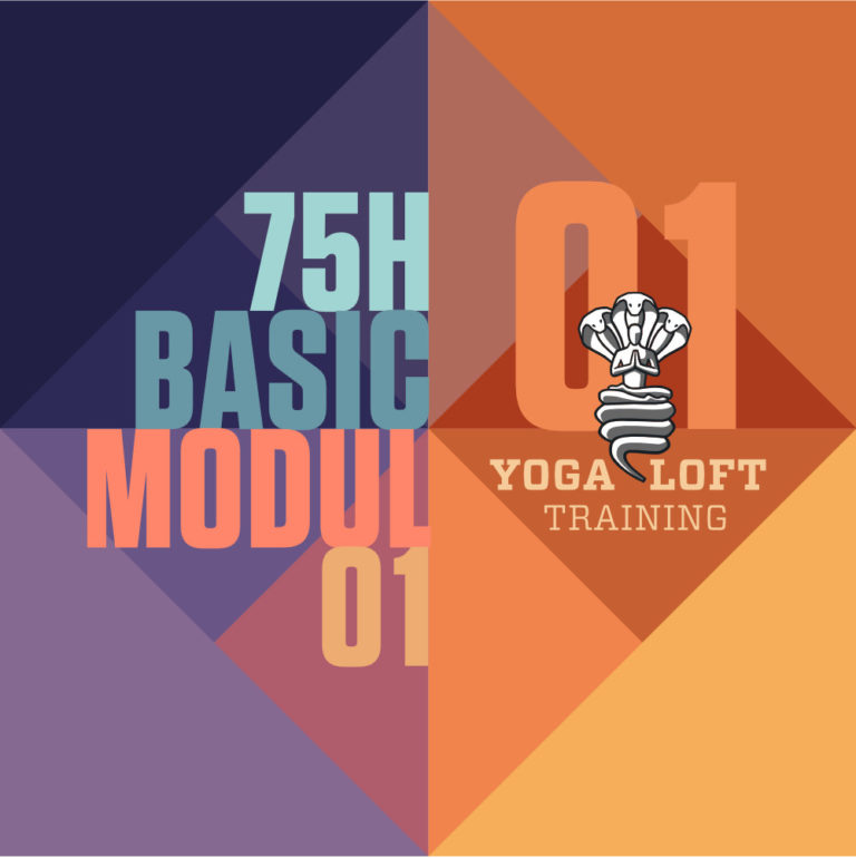 TEACHER TRAINING – BASIC MODUL 2022*