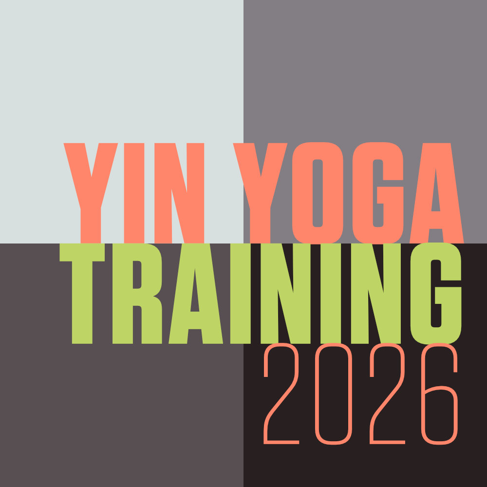 SLIDER_451YINTeacherTrainingLEVEL1mitMarkusHennigGiess2x